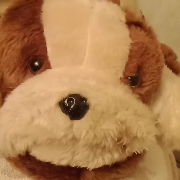 Cute dog slippers 🐕 - Picture 3 of 16